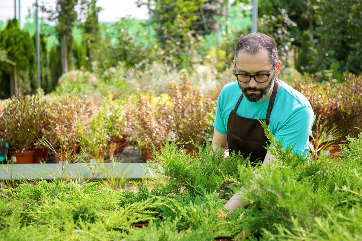 Annual Garden Maintenance Contract Professional garden maintenance services maintaining landscape and greenery