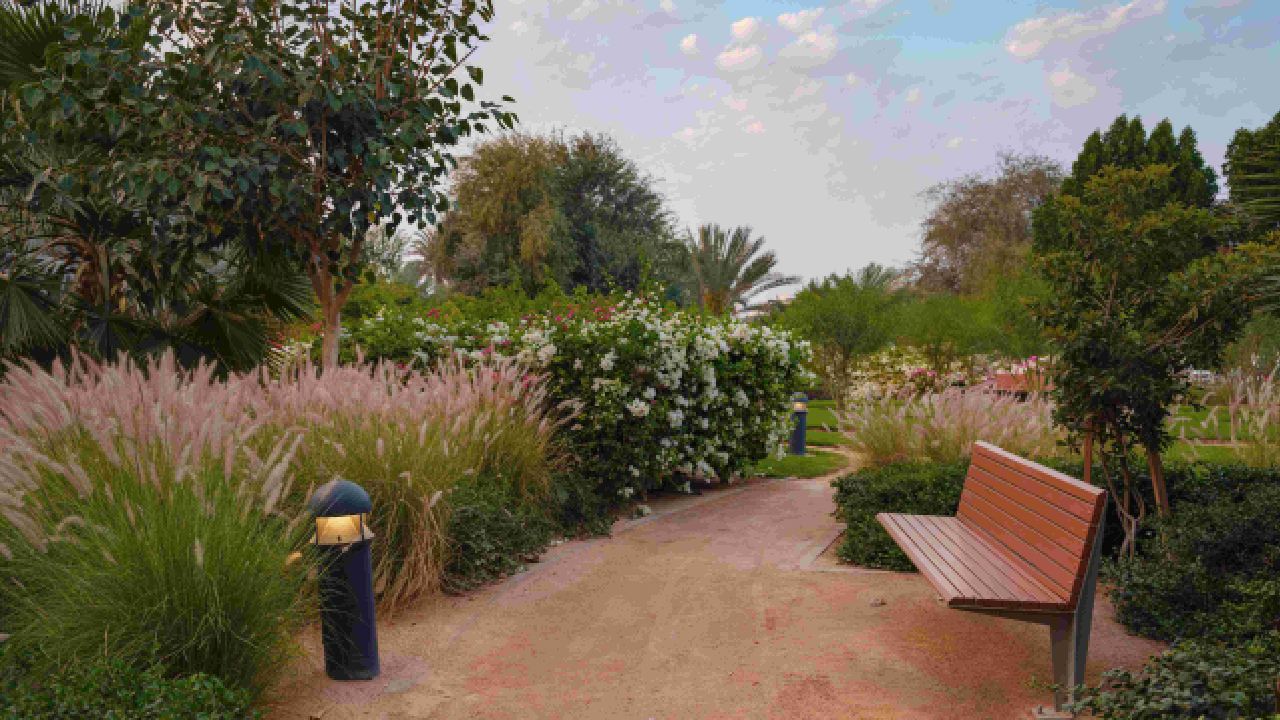 landscaping company in dubai,landscaping contractors in dubai,best landscaping company in dubai,soft landscaping in dubai