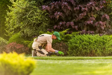 landscape maintenance, landscape maintenance services, landscaping services, landscape maintenance companies, garden landscaping, garden landscaping services, yard maintenance services, amc landscape, amc garden maintenance