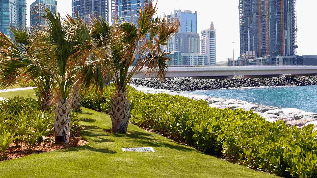landscaping company in dubai,landscaping contractors in dubai,best landscaping company in dubai,soft landscaping in dubai