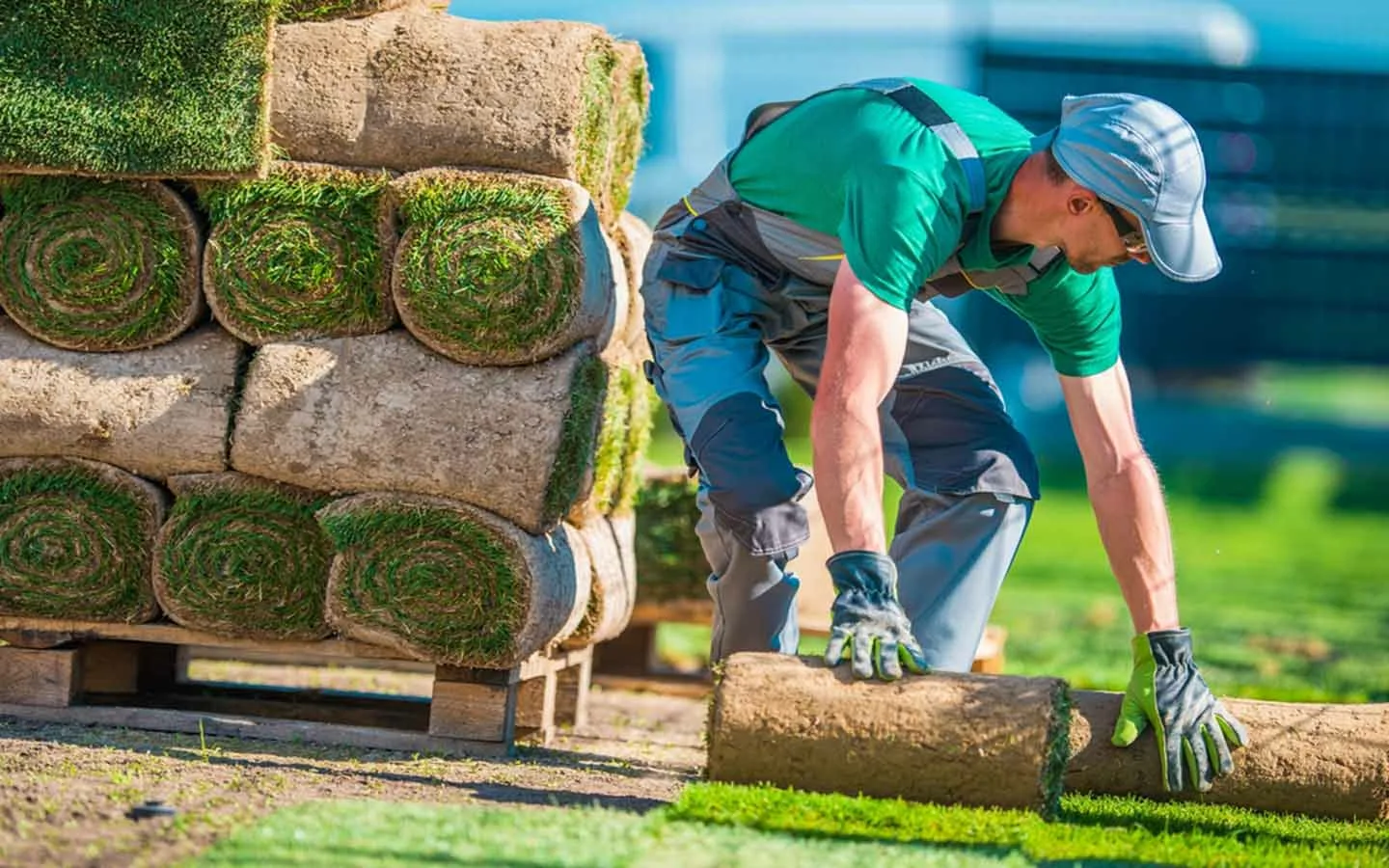 landscape maintenance, landscape maintenance services, landscaping services, landscape maintenance companies, garden landscaping, garden landscaping services, yard maintenance services, amc landscape, amc garden maintenance