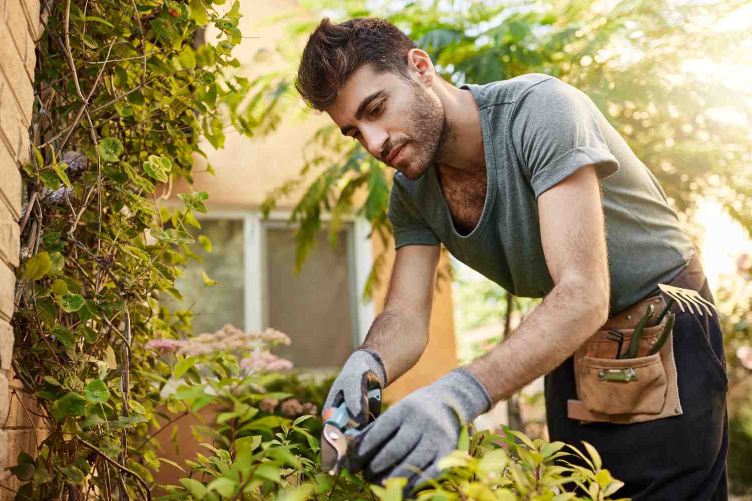 Professional landscape maintenance services including lawn care, garden landscaping, plant trimming, and yard maintenance for healthy outdoor spaces.