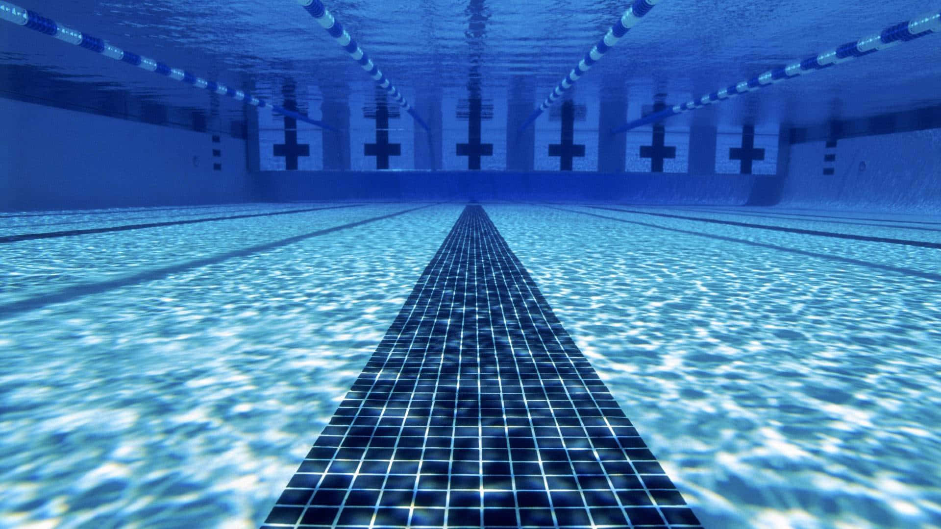 swimming pool amc,amc swimming pool,pool amc,amc pool,swimming pool amc cost,amc swimming pool near me,amc swimming pool list